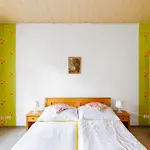 Pensionat Abertham - Vanessa 3*