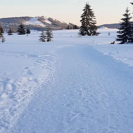 Abertham - Vanessa Konukevi 3*